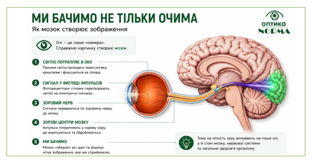 Чому після сильного стресу людина може бачити гірше